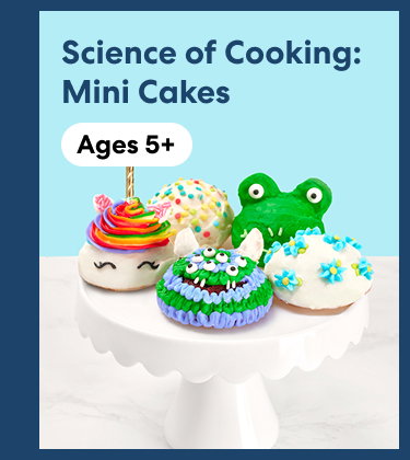 Science of Cooking: Mini Cakes