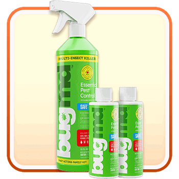 Bugmd Essential Pest Control Fast Acting Family Kit
