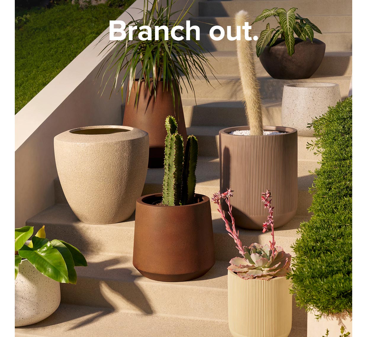 Branch out.
