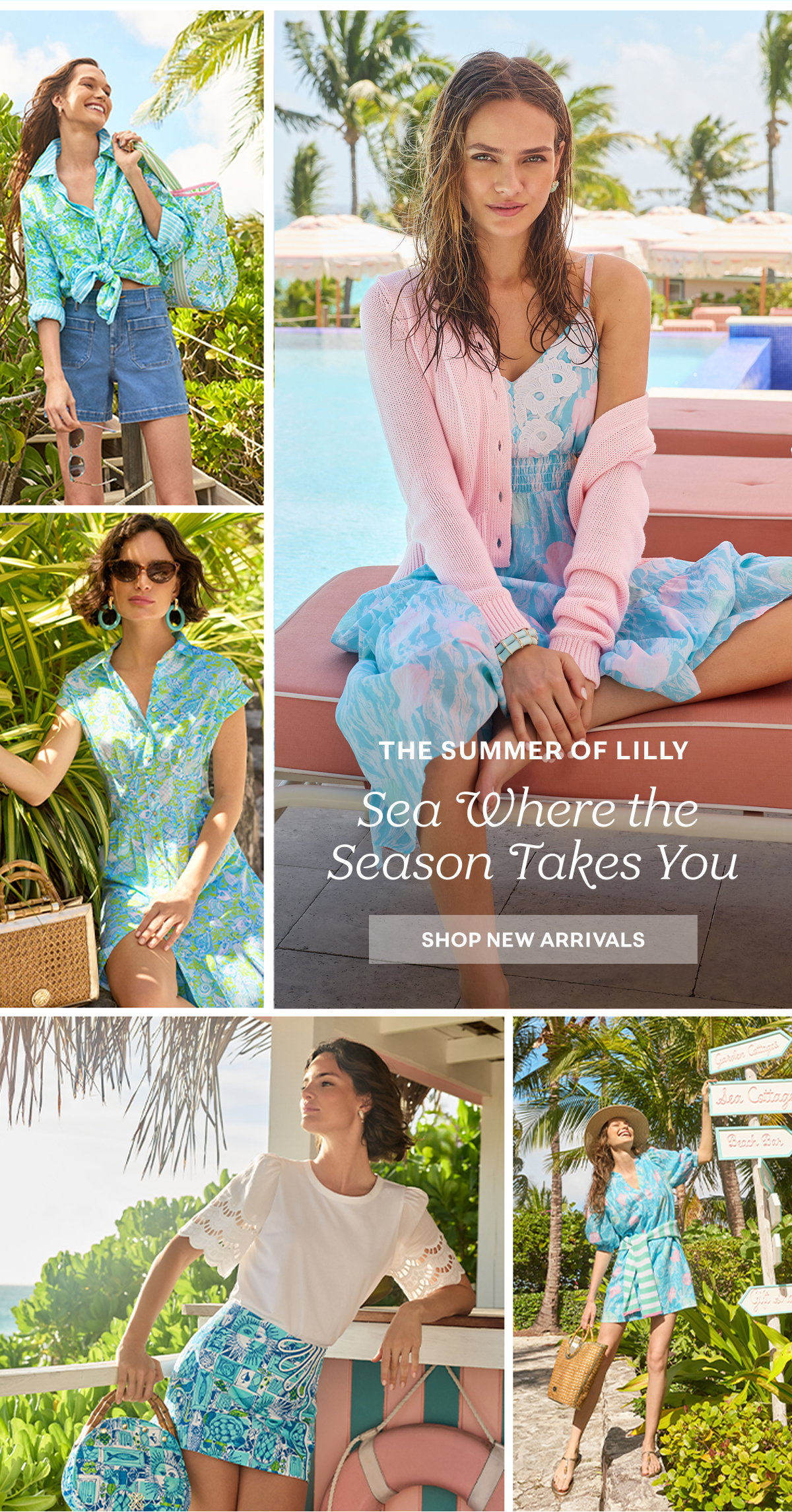 The Summer of Lilly