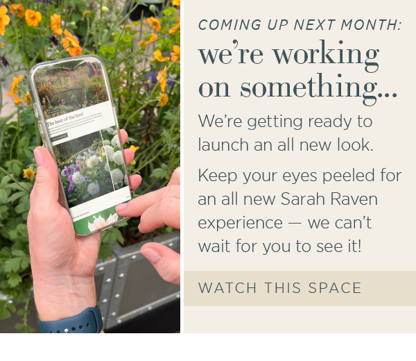 Coming up next month: we're working on something... We're getting ready to launch an all new look. Keep your eyes peeled for an all new Sarah Raven experience - we can't wait for you to see it! Watch this space.