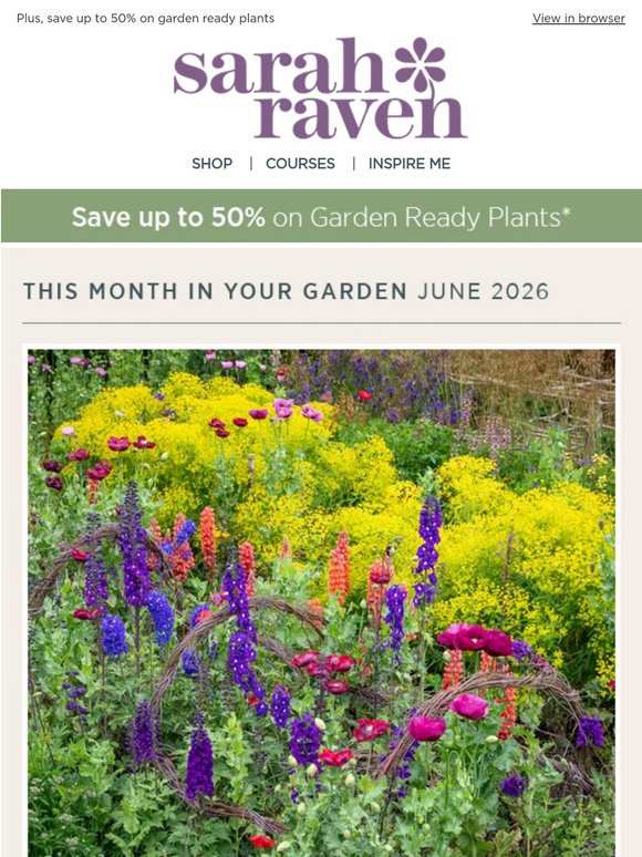 June at Sarah Raven | Scent, colour & summer 🌸