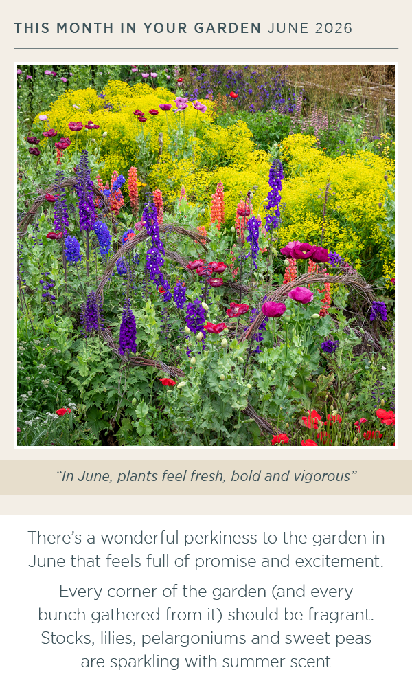 This month in your garden. June 2026. "In June, plants feel fresh, bold and vigorous"