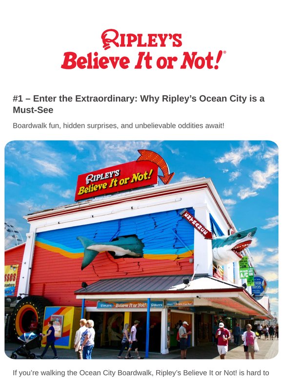😮 The Odd in Ocean City