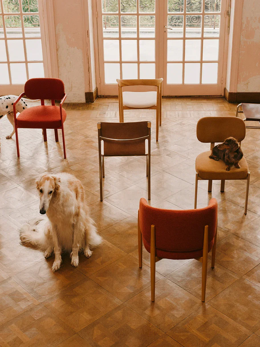 5 Chairs, designed for sharing