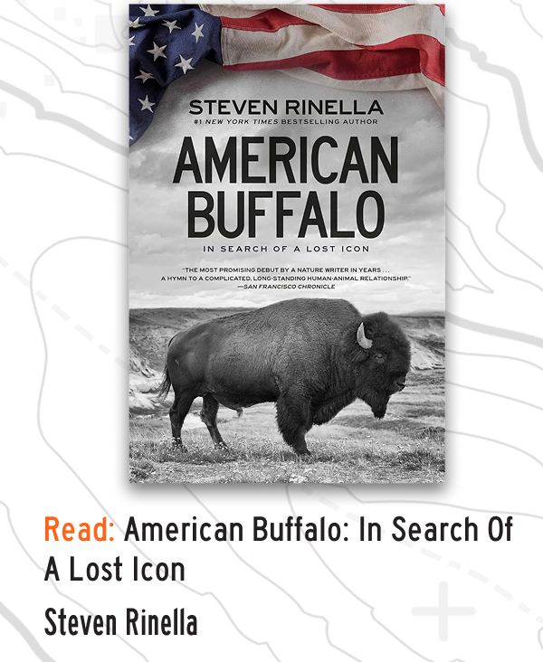 Read: American Buffalo In Search of a Lost Icon