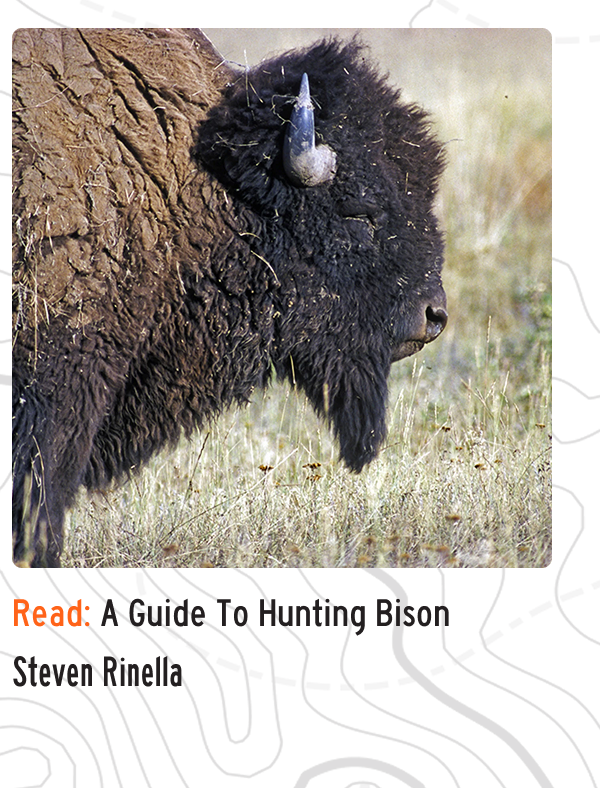 Read: A Guide To Hunting Bison