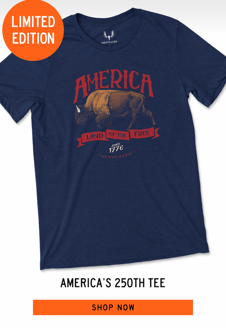 America's 250th Tee