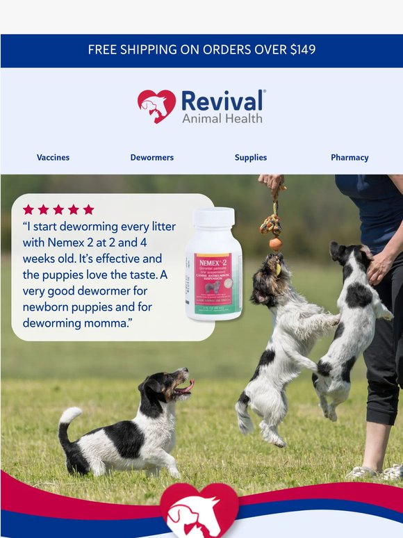 Stay Ahead of Roundworms This Spring