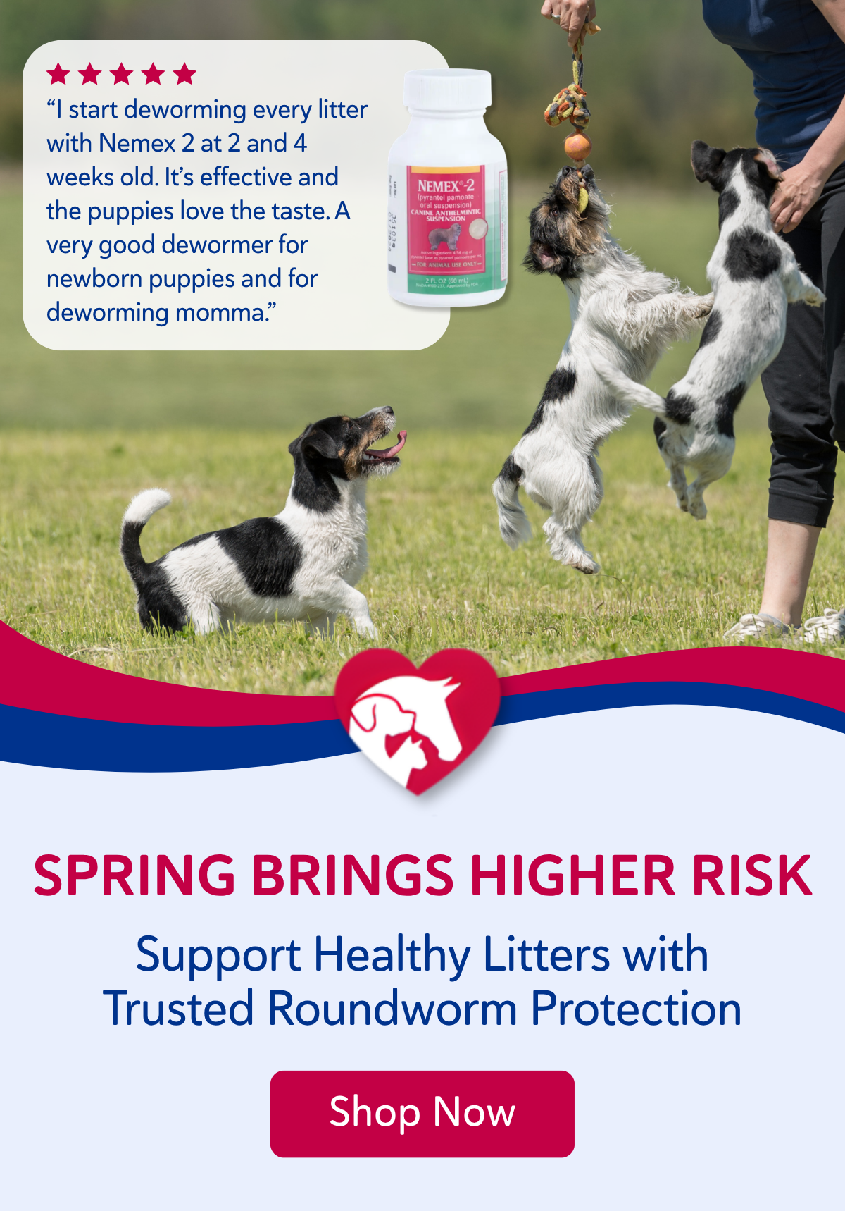 Spring brings higher risk—support healthy litters with trusted roundworm protection