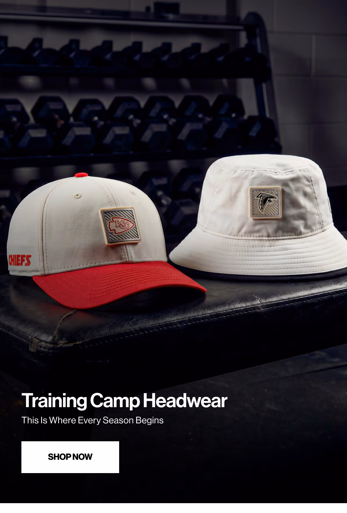 shop now