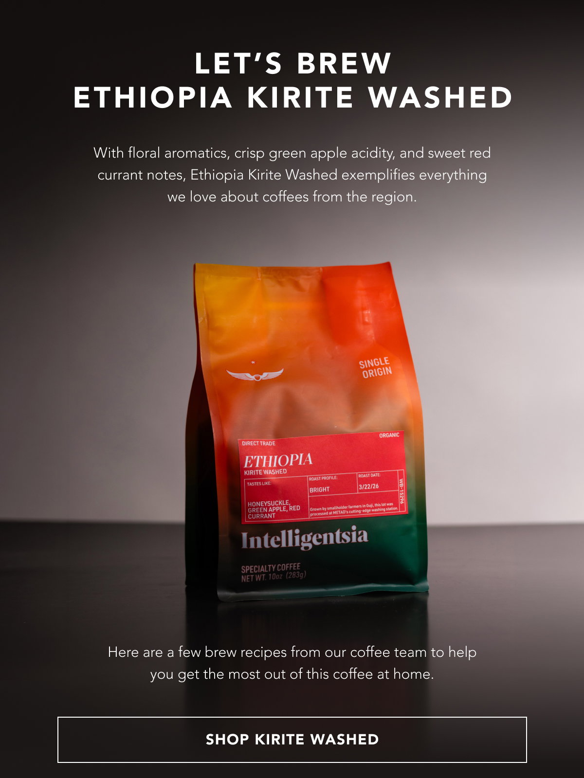 Let’s brew Ethiopia Kirite Washed. With floral aromatics, crisp green apple acidity, and sweet red currant notes, Ethiopia Kirite Washed exemplifies everything we love from a coffee of the region. Here are a few brew recipes from our coffee team to help you get the most out of this coffee at home.  | SHOP KIRITE WASHED