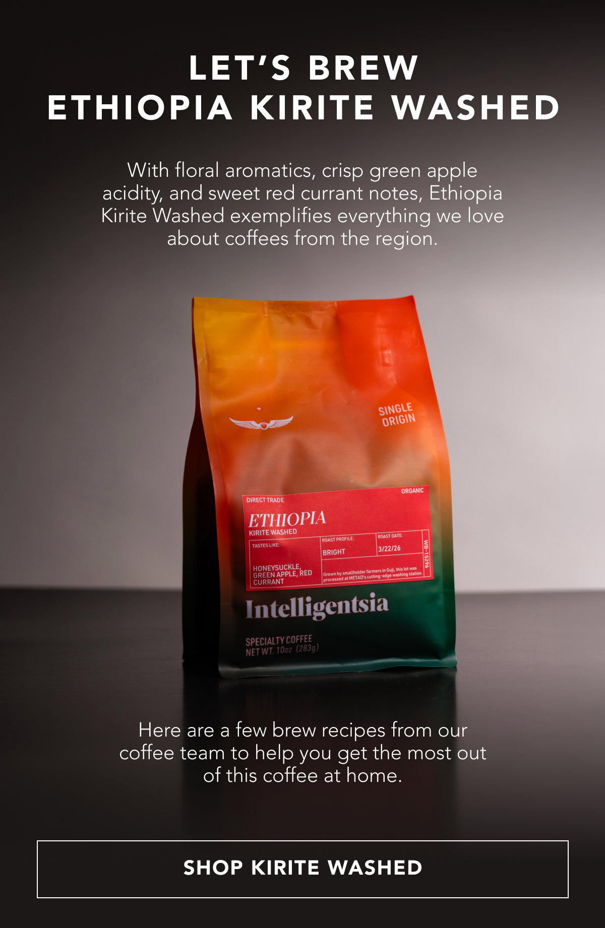 Let’s brew Ethiopia Kirite Washed. With floral aromatics, crisp green apple acidity, and sweet red currant notes, Ethiopia Kirite Washed exemplifies everything we love from a coffee of the region. Here are a few brew recipes from our coffee team to help you get the most out of this coffee at home. | SHOP KIRITE WASHED
