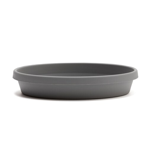 Bloem Terra Plastic Round Plant Saucer Tray, Assorted S...