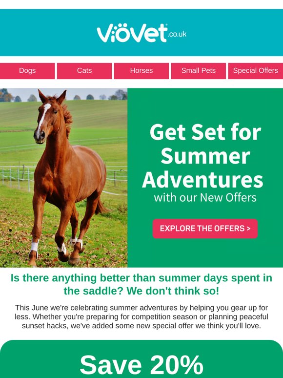 Your June Equine Offers Are Here 🐎