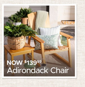 Adirondack Chair