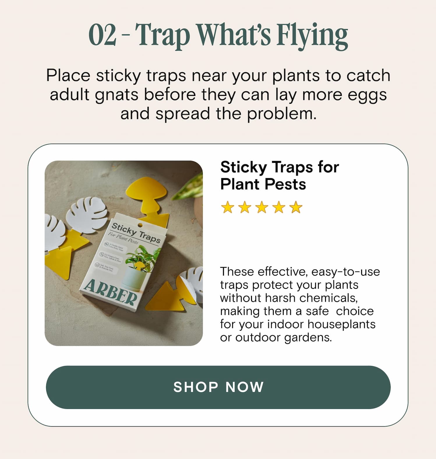 02 - Trap What’s Flying Place sticky traps near your plants to catch adult gnats before they can lay more eggs and spread the problem. Sticky Traps for Plant Pests These effective, easy-to-use  traps protect your plants without harsh chemicals, making them a safe  choice for your indoor houseplants or outdoor gardens. 