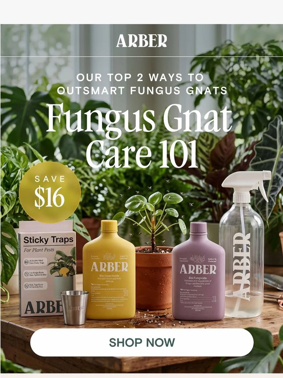 Outsmart fungus gnats for good 👋