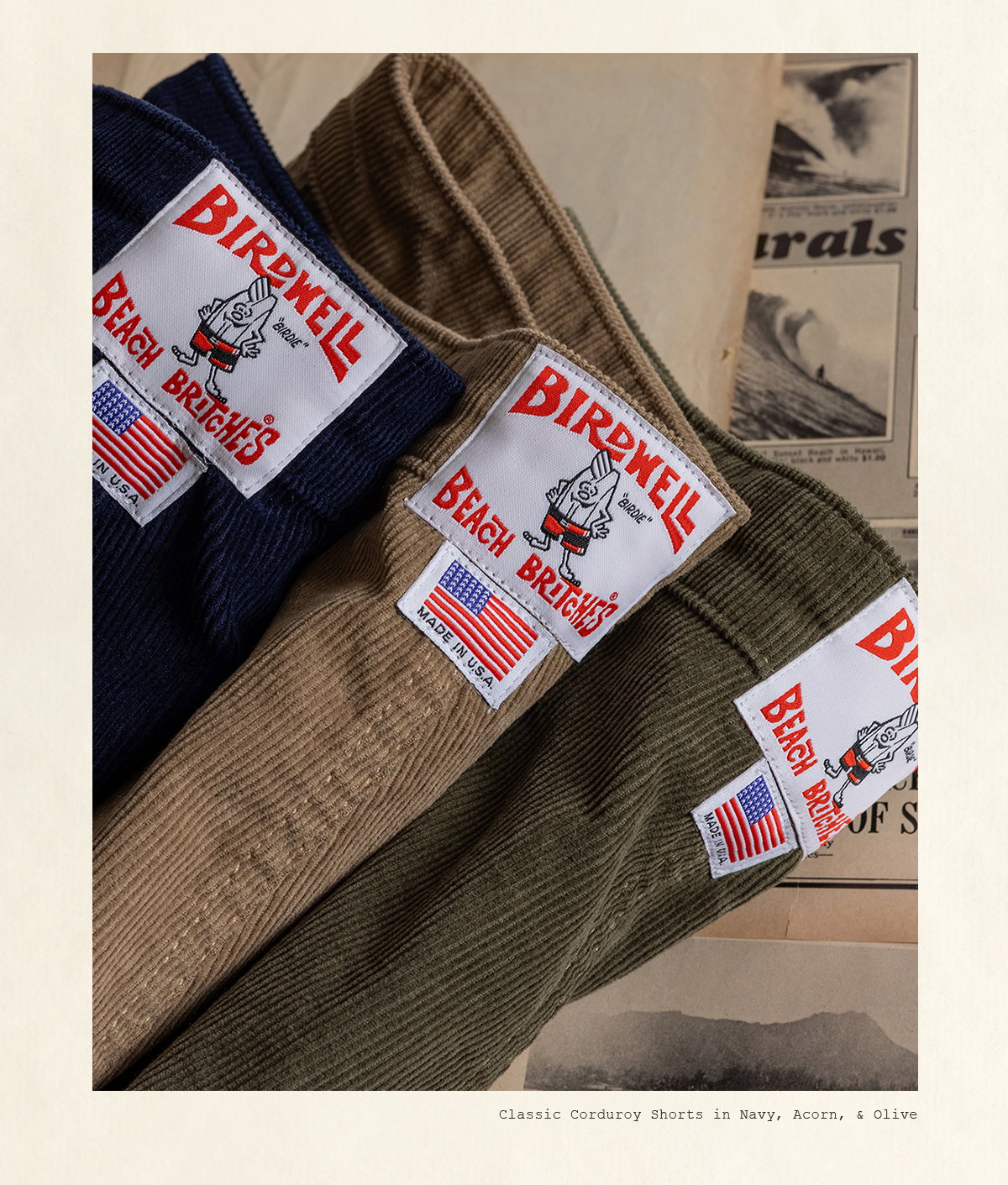 Classic Corduroy Shorts in Navy, Acorn & Olive