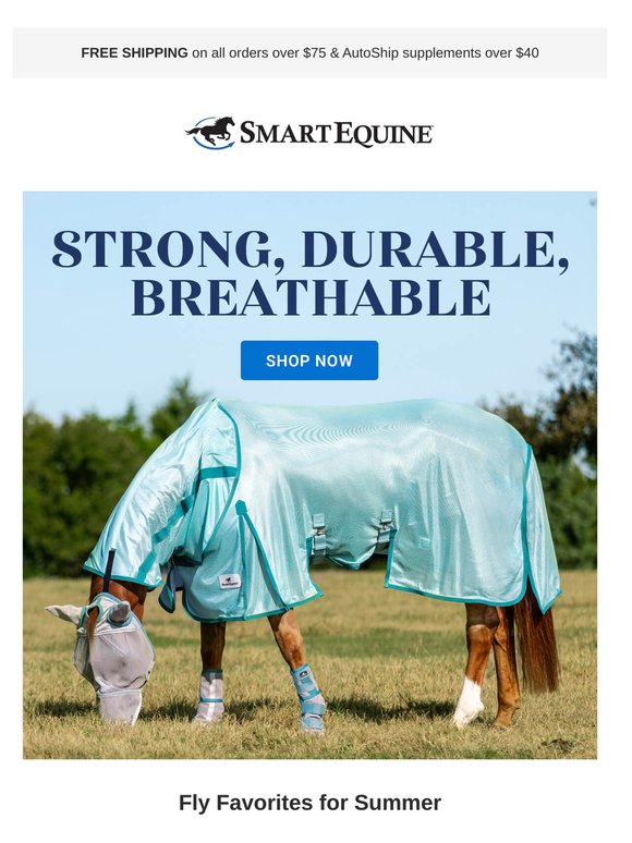 Gear Up for a Fly-Free Summer