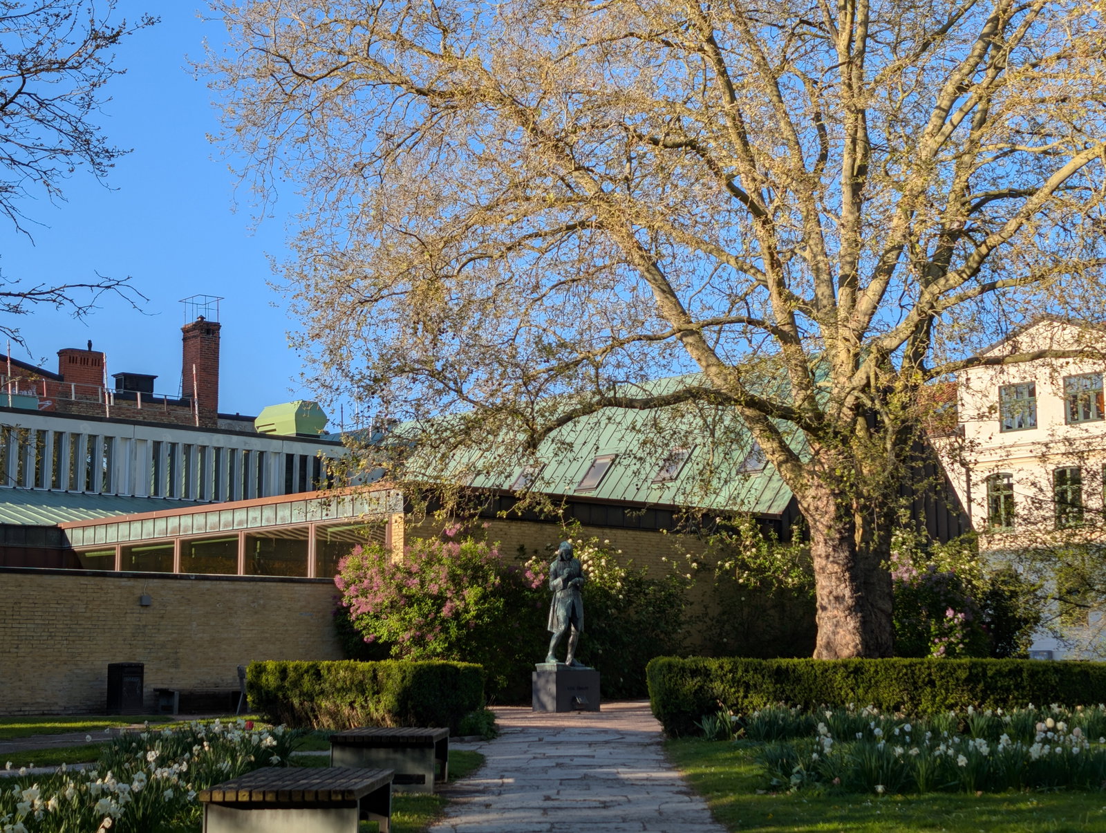 Garden at Malmö City Library, Sweden, with a bronze statue, spring blossoms and daffodils