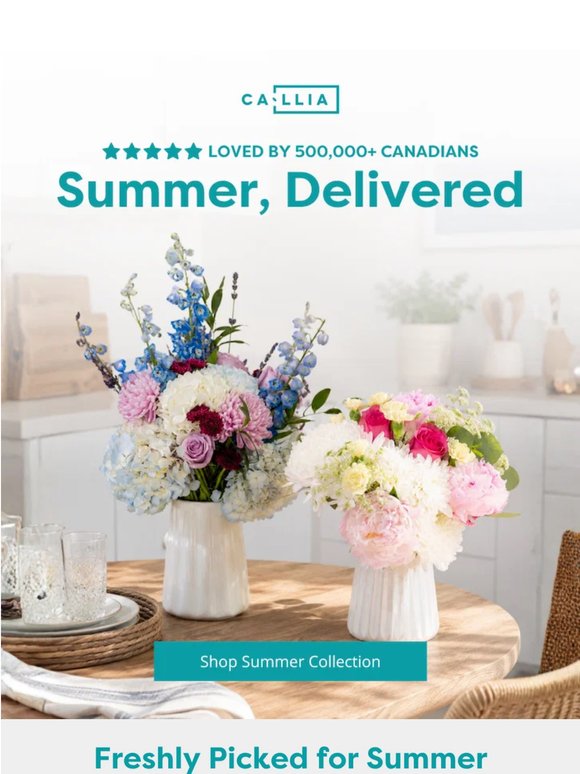 Your summer flowers are ready ☀️