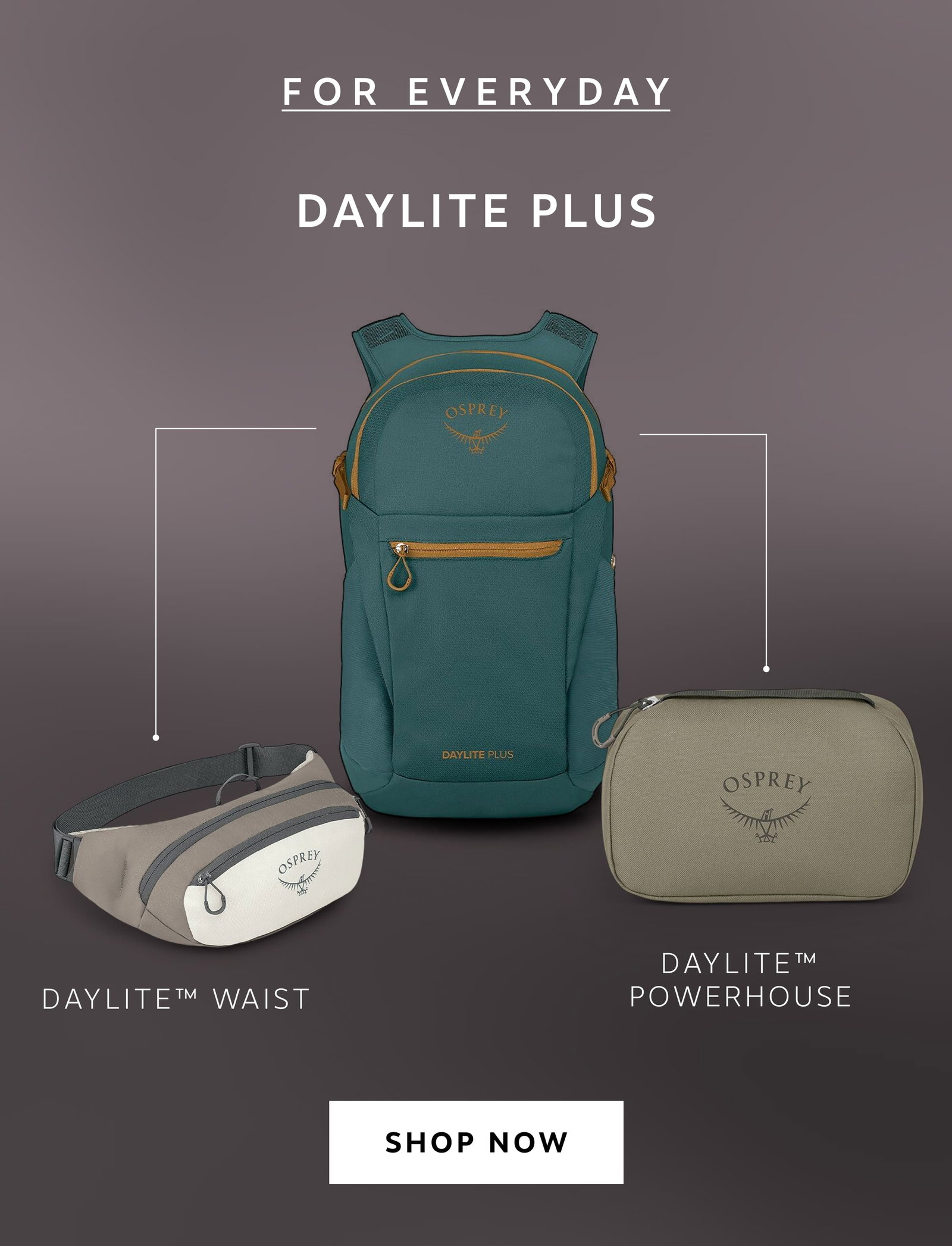 For Everyday - Daylite Plus