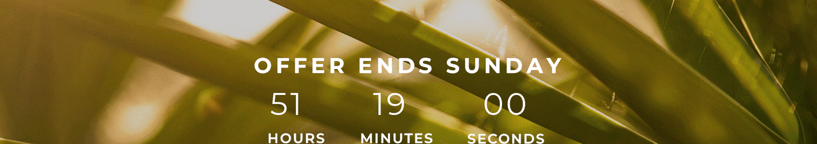 OFFER ENDING SOON