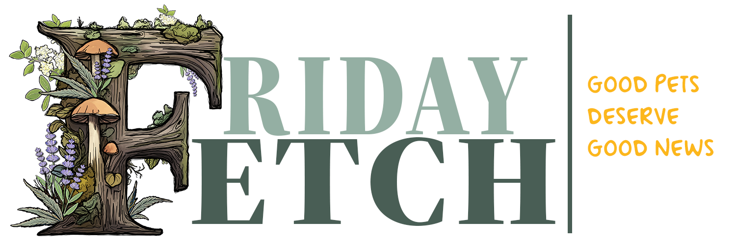 The Friday Fetch