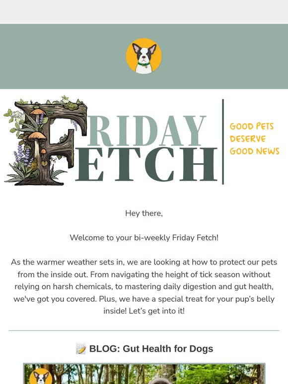 Your Friday Fetch is here 📬