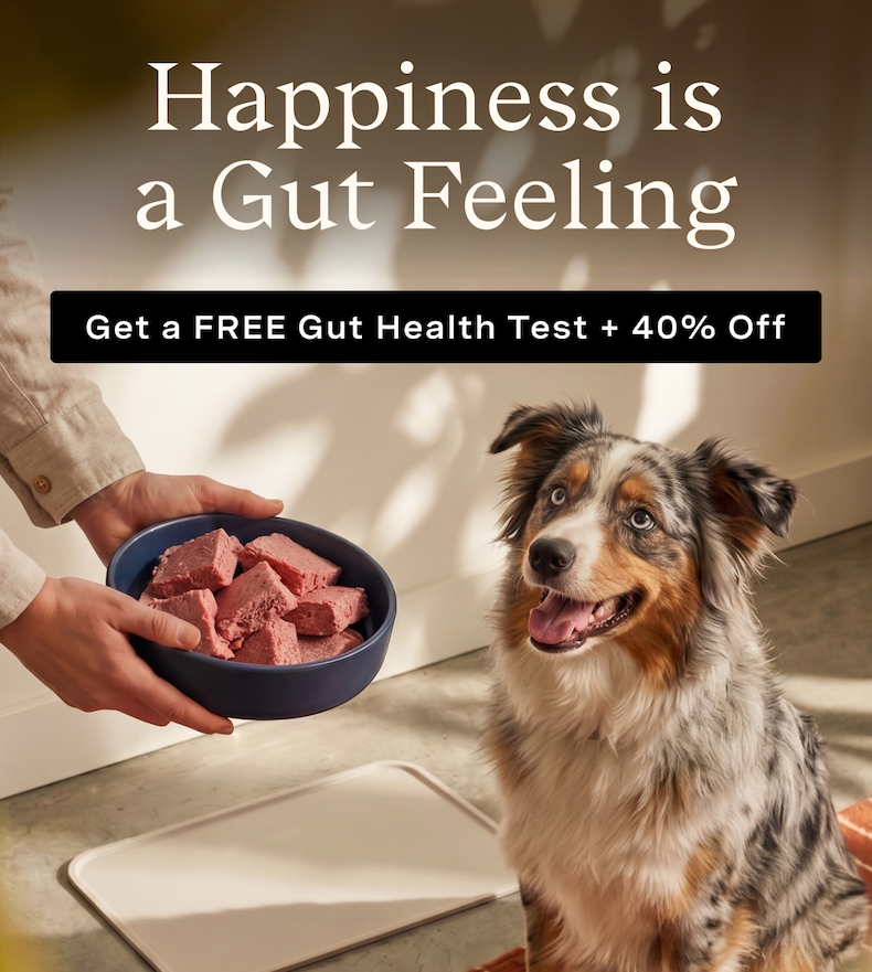 Happiness is a Gut Feeling