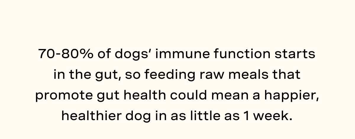 70-80% of dogs’ immune function starts in the gut, so feeding raw meals that promote gut health could mean a happier, healthier dog in as little as 1 week.