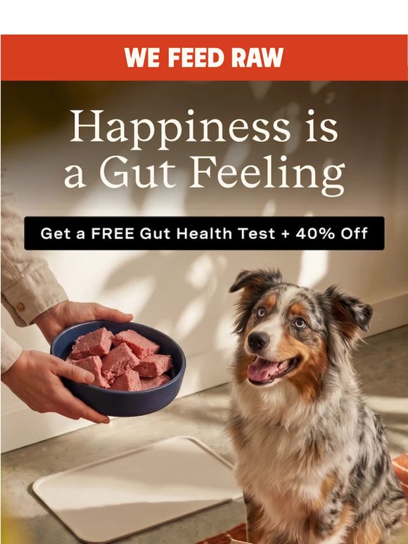 THE HAPPIEST OFFER EVER