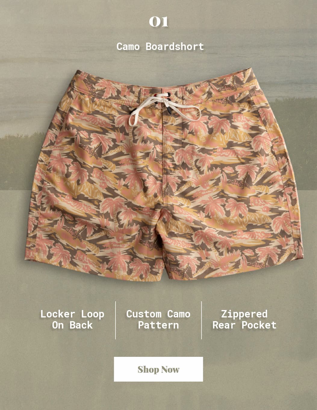 Boardshorts