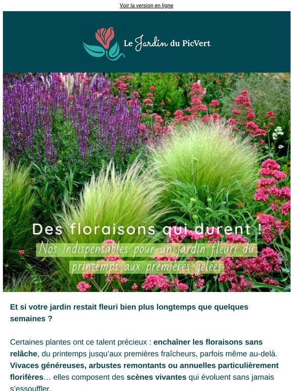 Et si votre jardin ne s’arrêtait jamais de fleurir (ou presque) ?