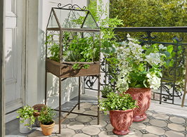 Ab in den Garten