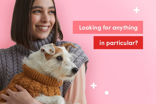 Looking for anything in particlar?