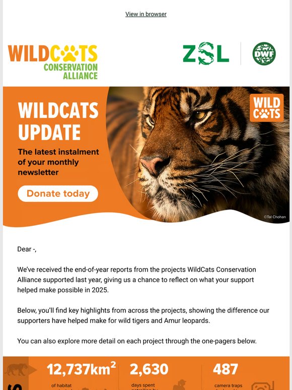 WildCats 2025 project highlights are here 🐅🐆
