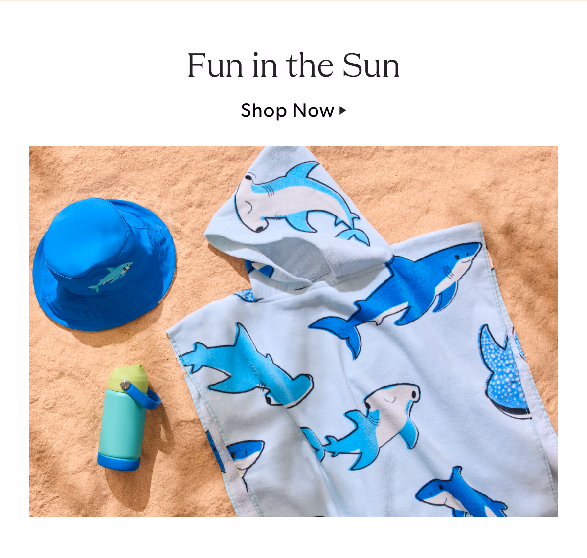 Fun in the Sun