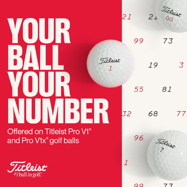 Titleist Special Number Pro V1 / V1x Golf Ball