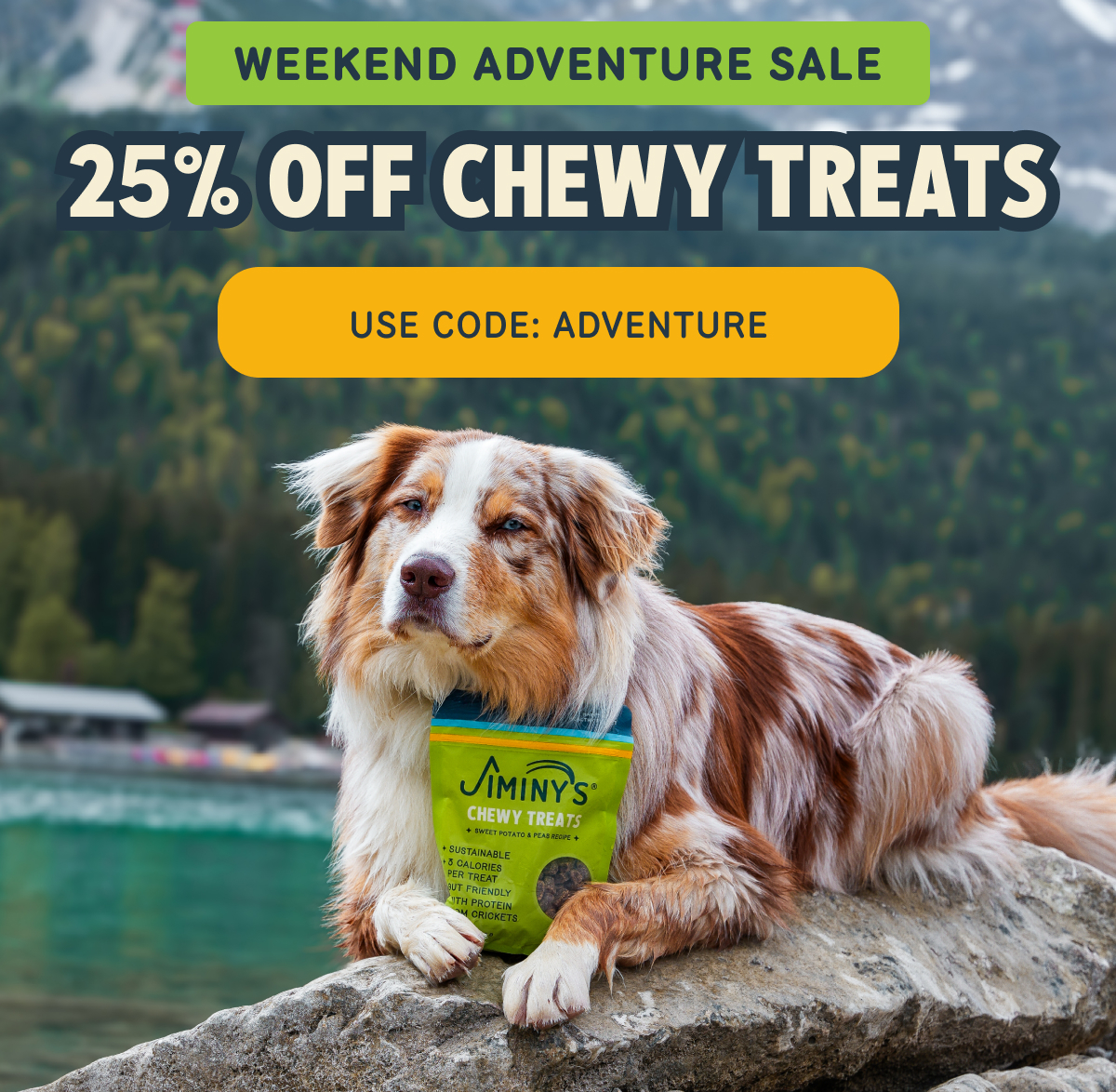 WEEKEND ADVENTURE SALE 25% OFF CHEWY TREATS USE CODE: ADVENTURE