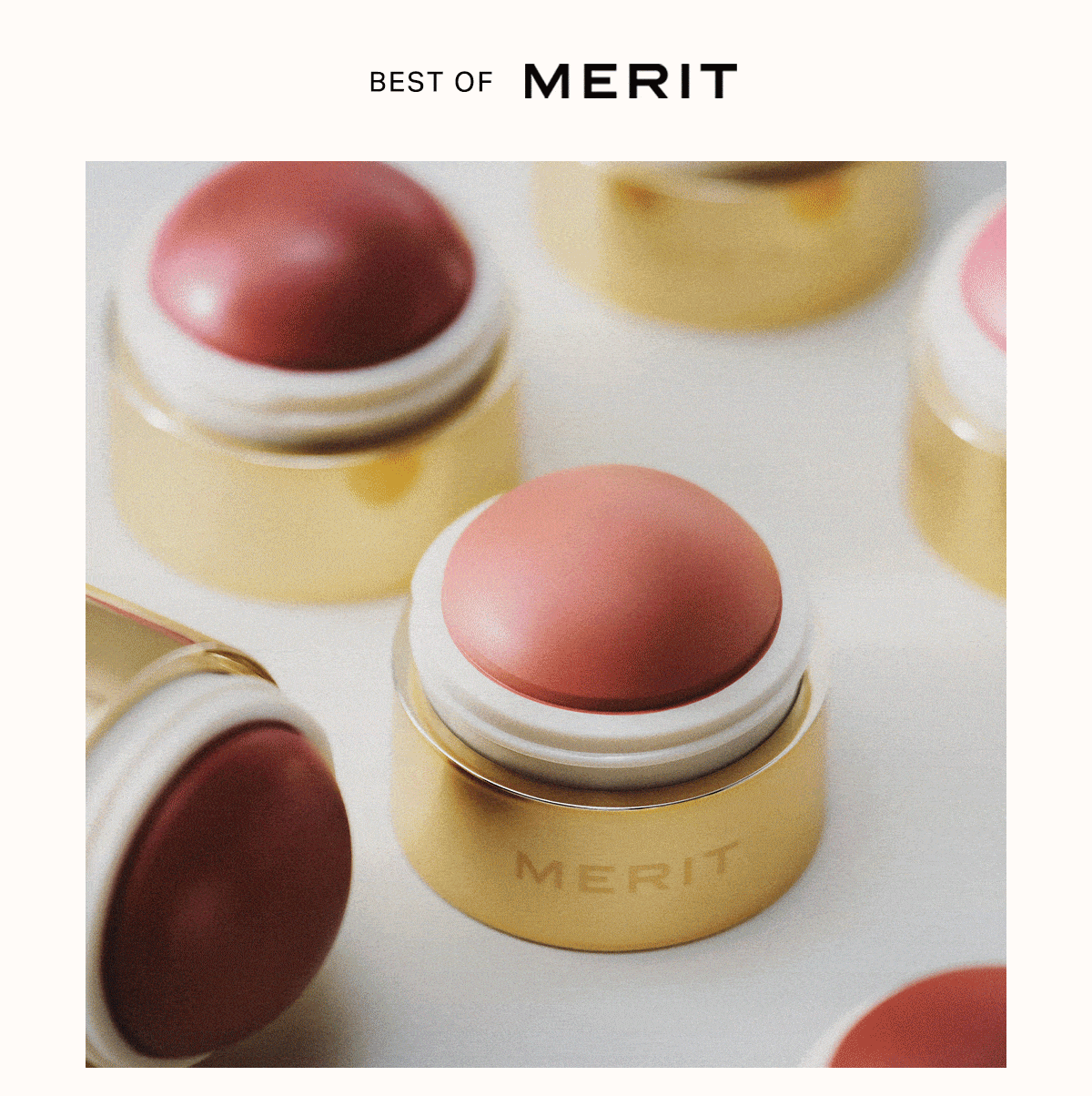 Best of MERIT