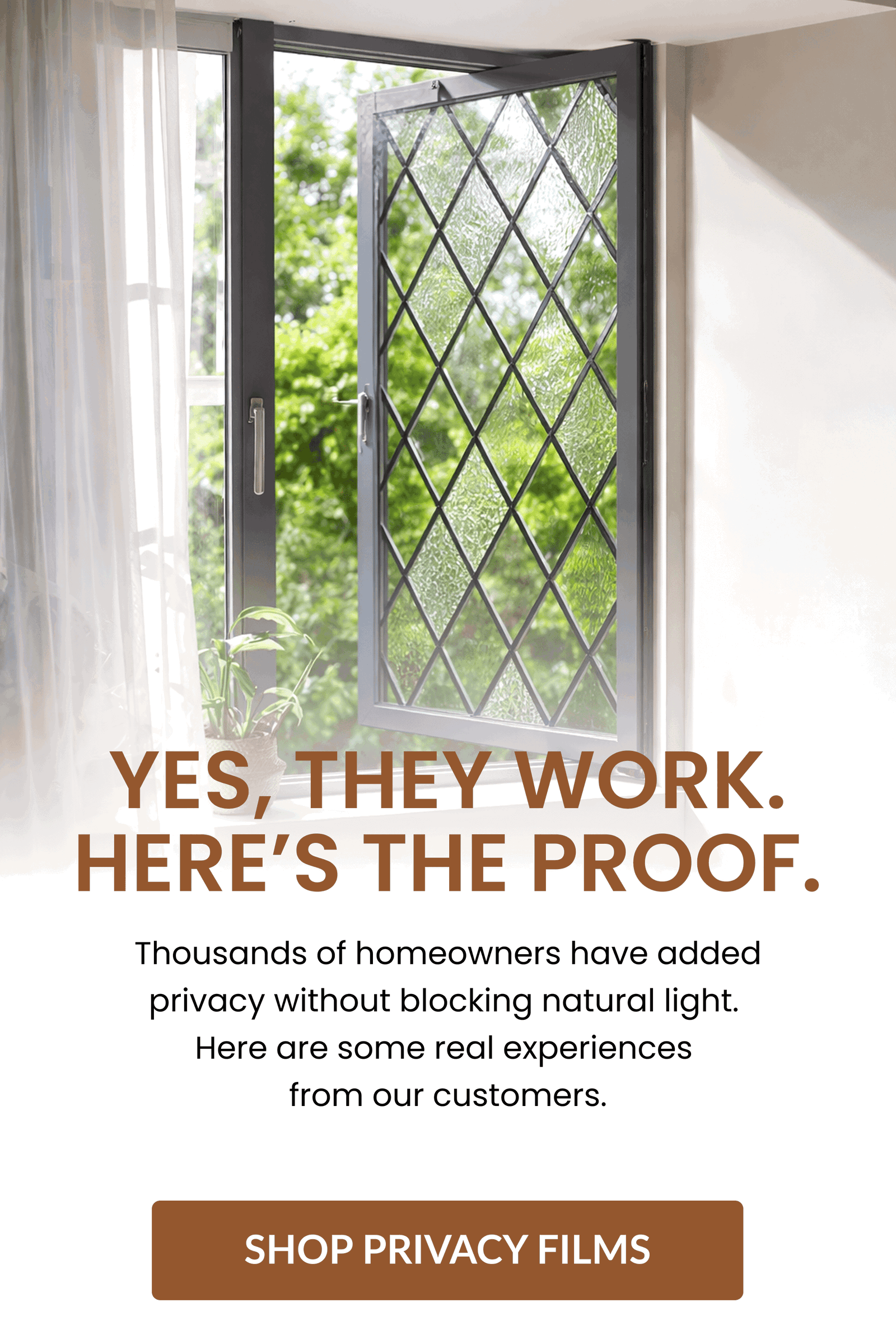 Privacy Window Film