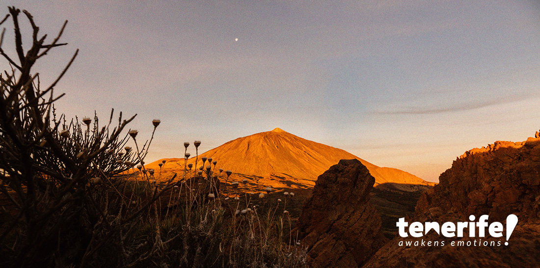 Walk between lava on Spain's highest volcano 