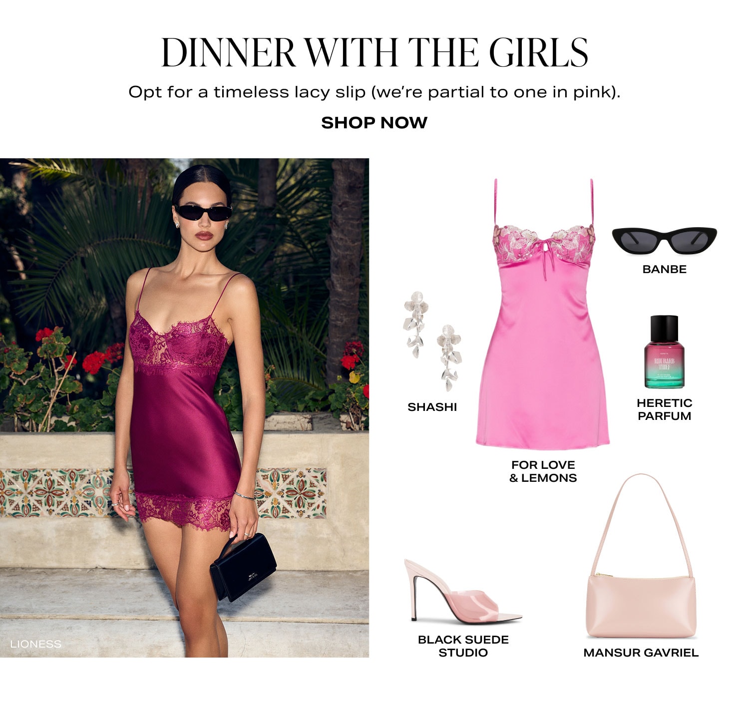 Shop Dinner With the Girls.