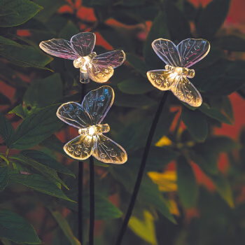 le trio de papillons solaire à planter