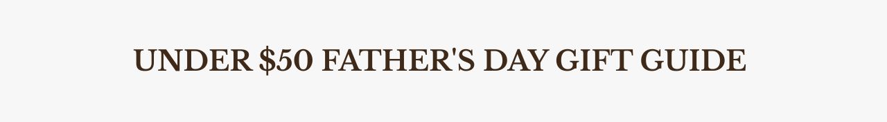 Under $50 Father's Day Gift Guide#