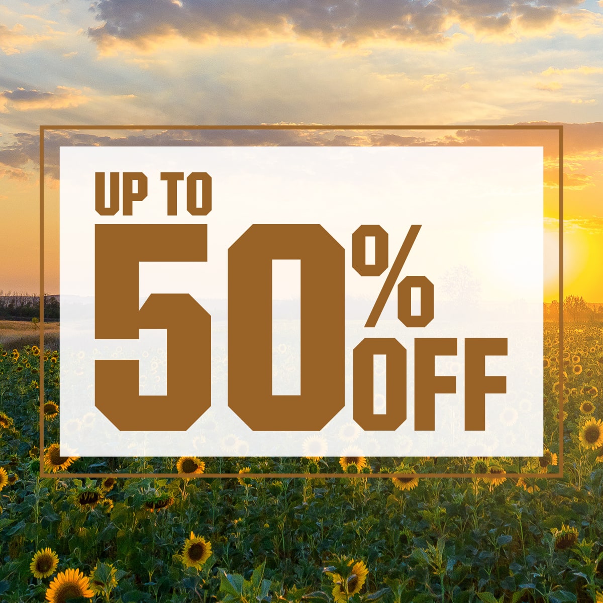 Up to 50% Off 