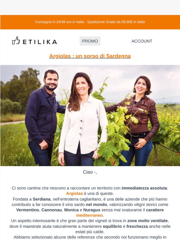 🏖️ I vini che d’estate finiscono sempre troppo in fretta