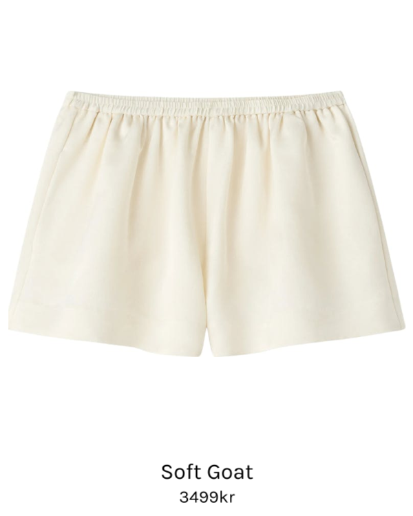 Image of Silk Shorts